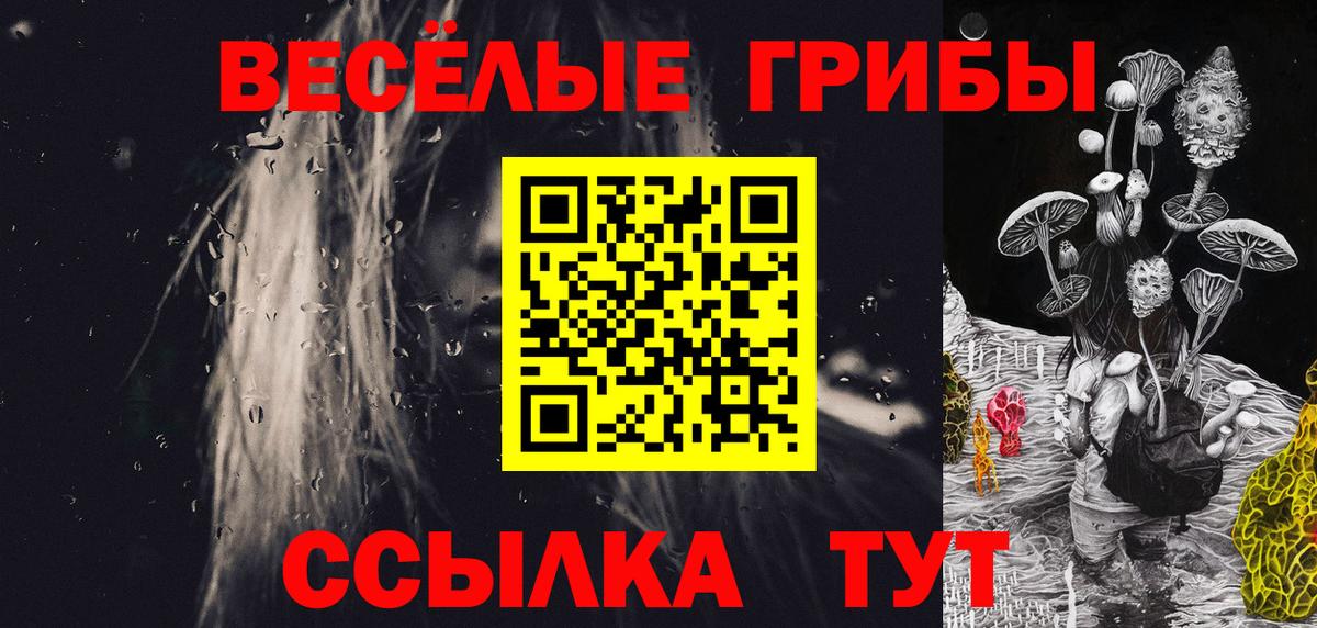 Галлюциногенные грибы Cubensis Подольск