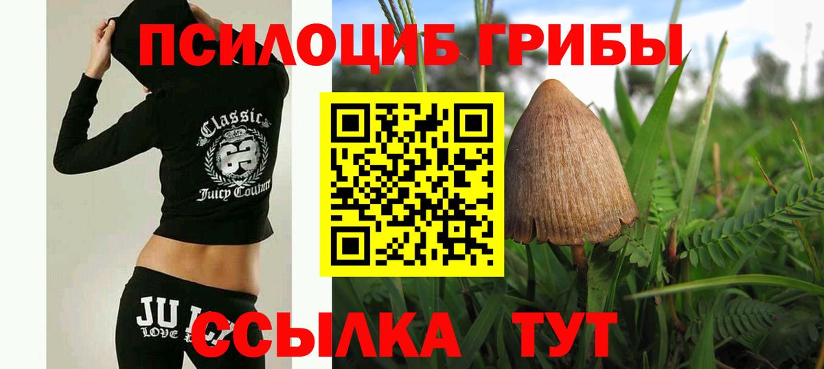 Галлюциногенные грибы MAGIC MUSHROOMS  Вход с VPN  Подольск 